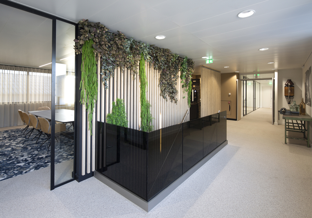 Megens Plantenwand