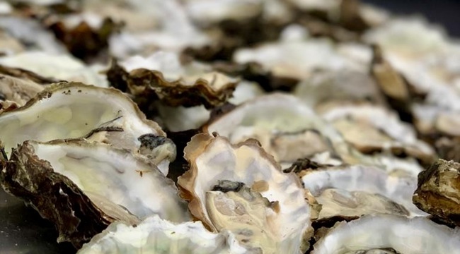 59F39884 2C81 48C4 9Fac E8d3ae5c87e5 1 201 A