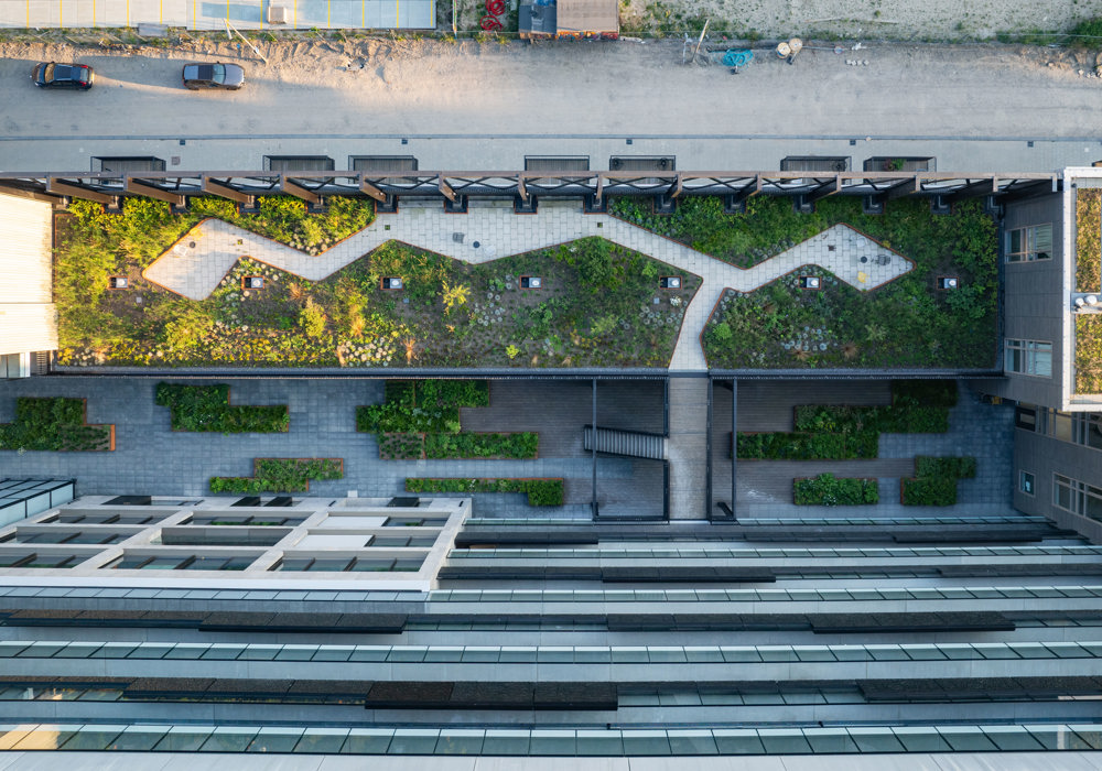 Architectuur The View - Rotterdam - Roof Garden